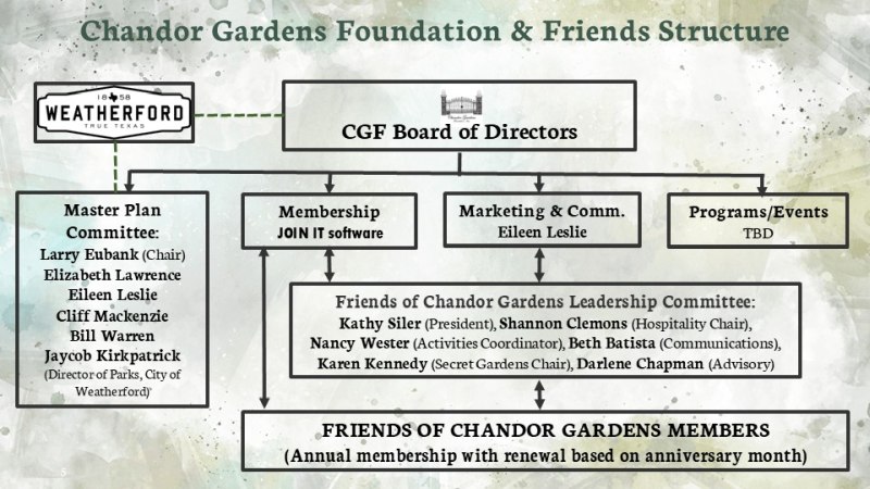 cgf organization chart july 2025