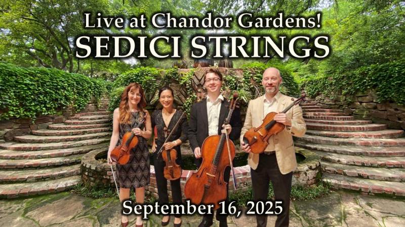 sedici strings 16 9 w